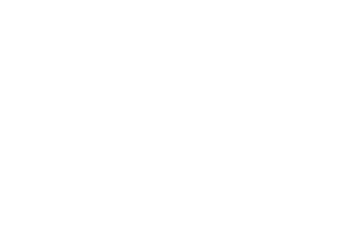 Aeronautica Militare Logo